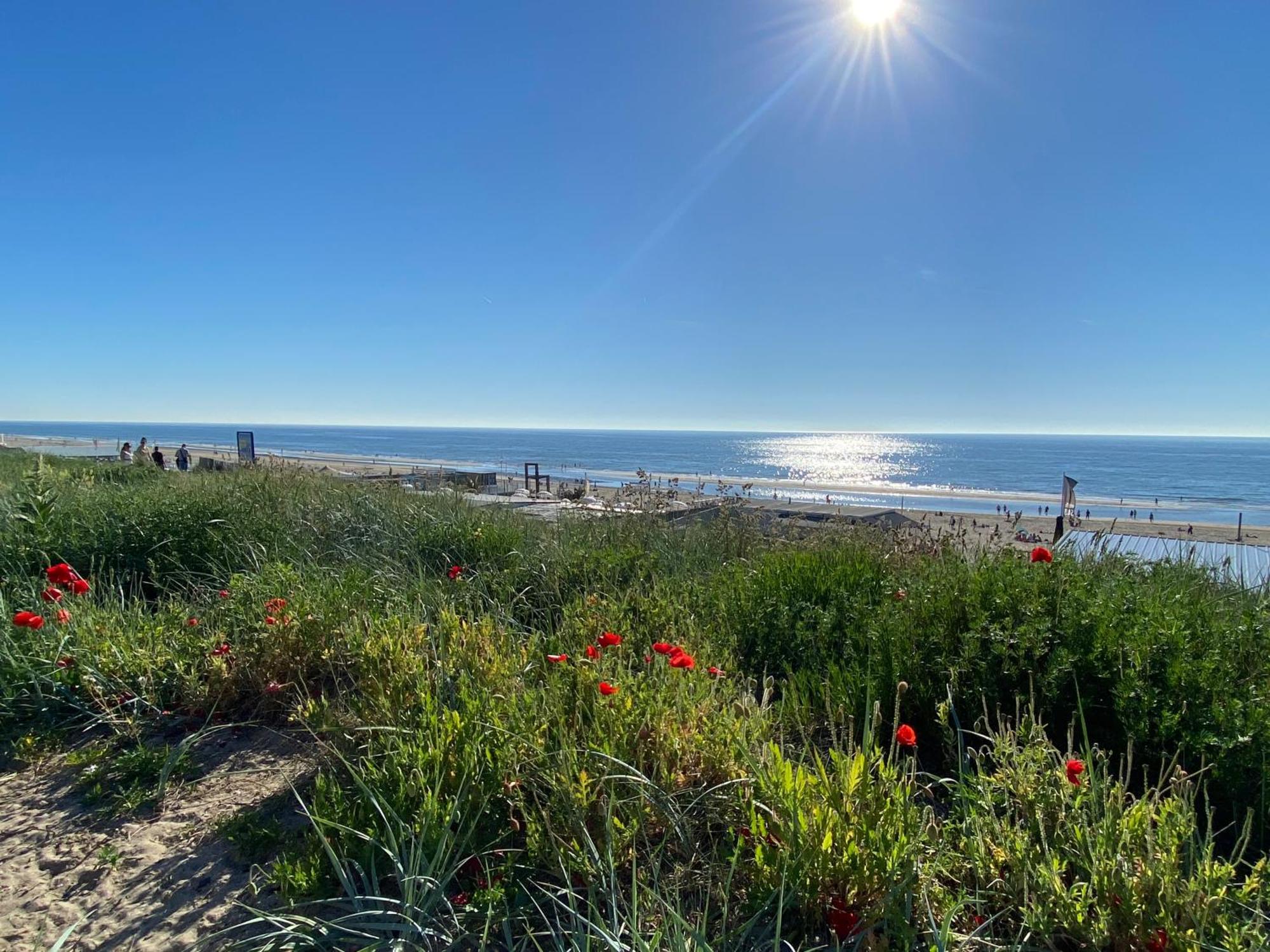 Maison Rue De La Mer Zandvoort Buitenkant foto